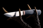 Lovecké a poľovnícke nože - na čo sa zamerať pri výbere?