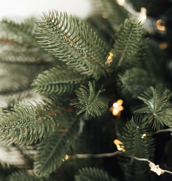 Čím sa 3D vianočný stromček odlišuje od klasického?