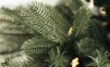 Čím sa 3D vianočný stromček odlišuje od klasického?