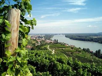 Najslávnejšie vinárske adresy Rakúska nájdete na skok od Slovenska