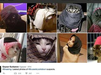 Belgičané reagují na teror fotkami koček