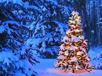 Advent začíná! Kde si užijete vánoční trhy a zářící vánoční stromy