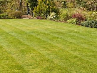 Have YOU got Britain's best lawn? Launching The Mail on Sunday's search for the most majestic sward 