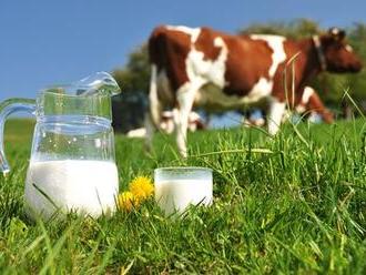 Agrární komora proti řetězcům: Zneužívají situace, ceny za mléko jsou moc nízko