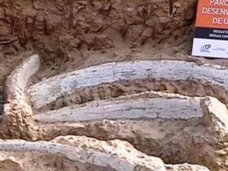 Brazilští dělníci našli kosti neznámého dinosaura
