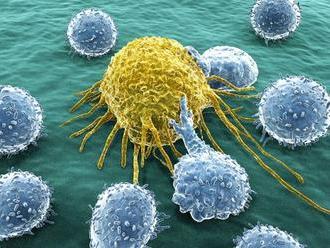 Košickí vedci hľadajú liek na rakovinu v kapuste