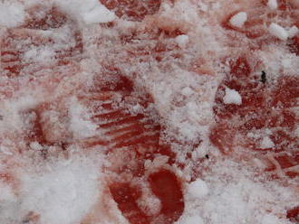 Brutální videa z východu: Krev a kopance do hlavy!