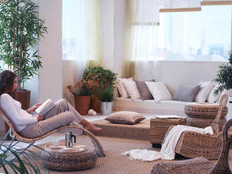 Exotický nábytek a doplňky: Kdy budou doma vypadat dobře? Prozradíme vám to!