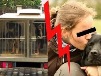 Veterináři: Chovatelka porušila zákon! Psy držela v klecích!