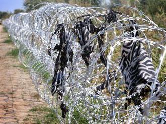 HN priamo z maďarsko-srbských hraníc: Nájdenie plota je otázkou života a smrti