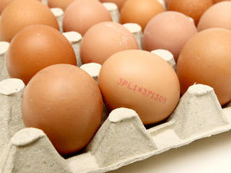 POPLACH v Česku: Milióny vajec sťahujú pre salmonelózu! Dostali sa aj k nám?