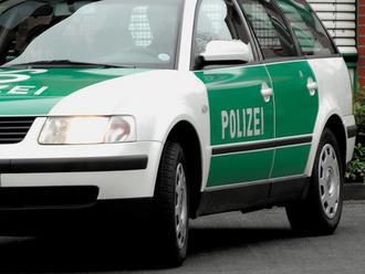 Němečtí a čeští policisté zasahují asi dvakrát měsíčně za hranicí