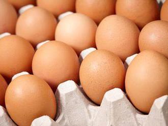 Miliony vajec musí z obchodů kvůli salmonele. Měl je Kaufland, Tesco i Albert