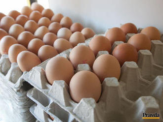 Nebezpečné vajcia stiahli z predaja