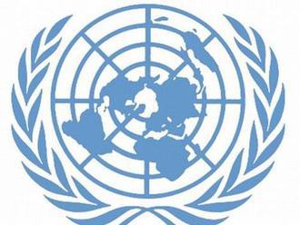 Rusko prišlo o miesto v Rade OSN pre ľudské práva