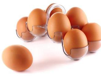 Tři české řetězce musí stáhnout z trhu miliony polských vajec kvůli salmonelóze