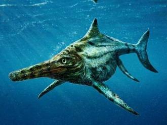 Opísali ďalšie dva druhy ichtyosaurov