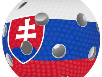 Slováci boli blízko k štvrťfinále, 9. miesto je teraz nový cieľ
