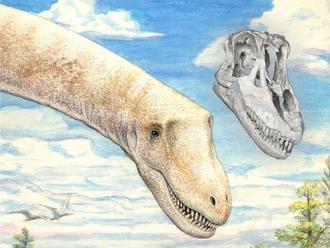 Objavili štvrtého titanosaura so zachovanou lebkou