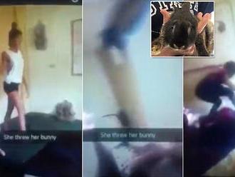 Three teenage girls are charged with animal cruelty after a video shows them throwing a bunny agains