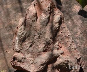 V Katalánsku našli 230 miliónov rokov starú stopu predchodcu dinosaura