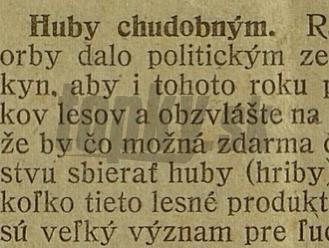 Storočné noviny písali o povolení pre chudobných: Slováci nemohli ísť zadarmo ani na huby