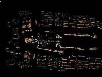 Dva miliony let staré „pohřebiště“ vzniklo náhodou, naznačuje lišejník