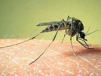 Na některých místech Jihočeského kraje hrozí vyšší výskyt komárů