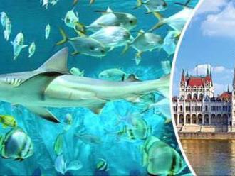 Jednodňový zájazd do Budapešti s návštevou najväčšieho morského akvária v Strednej Európe-Tropicaria