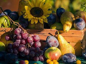 Plody pozdního léta: jak s nimi naložit?