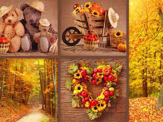 Podzimní ladění aneb Zahal svůj domov do zářivých barev podzimu