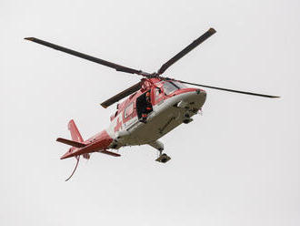 Muža   počas pílenia zavalil veľký kus dreva: Rozsiahle zranenia, zasahoval vrtuľník