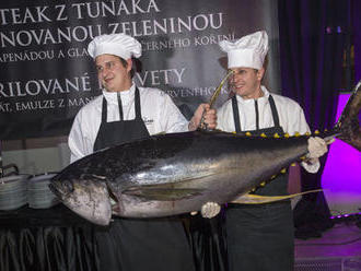 Debužírovat si budou na tuňákovi, ústřicích i na kanci, Ples jako Brno odtajnil menu