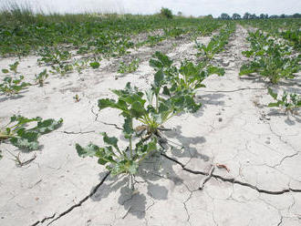 Recept proti suchu? Zadržanie vody v krajine