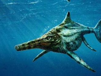 Našli prvú indickú fosíliu ichtyosaura