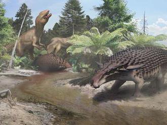 Aj silne obrnený dinosaurus bol nútený používať kamufláž