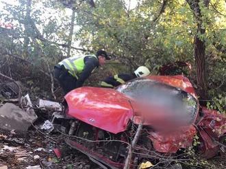 Podivná nehoda v Bratislave, objavili auto s dvomi mŕtvymi: FOTO Záhadná smrť v lese