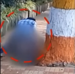 VIDEO Znásilnenia na ulici za bieleho dňa: Muž sa vrhol na ženu, okoloidúci si všetko točili