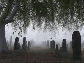Cintoríny a urnový háj krematória v Bratislave po víchrici opätovne otvorili
