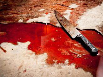 Muž na ulici v Plešivci podrezal družku, je obvinený z obzvlášť závažného zločinu vraždy