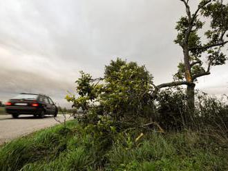 Silný vietor spôsobuje na Slovensku výpadky elektrickej energie, hasiči odstraňujú spadnuté stromy