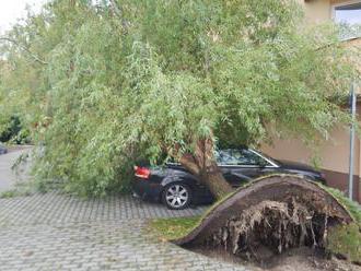 Foto: Silný vietor na Slovensku lámal stromy, komplikoval dopravu a spôsobil výpadky elektriny  