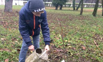 R. SOBOTA: Pri Mestskom cintoríne zasadili vzácny strom, žiakom bude slúžiť na pozorovanie