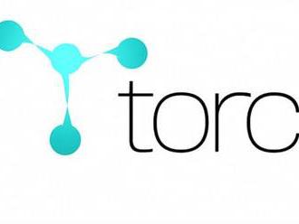 Framework Torch: modul pro zpracování rastrových obrázků  