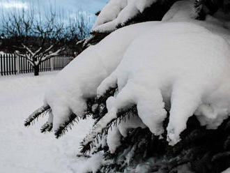 Zima prichádza naplno, sneh by mal pokryť aj hlavné mesto