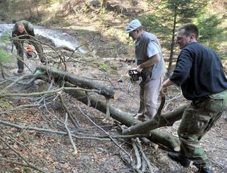 G. Matečná spustila boj proti nelegálnej ťažbe dreva