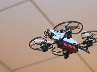 Fat Shark 101 Racing Drone Kit Release Date, Price and Specs     - CNET