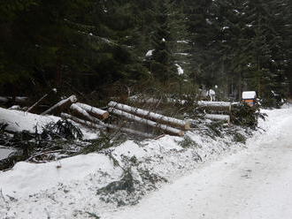 Silný vietor dostal hasičov do pohotovosti: Cesty cez Demänovskú dolinu a na severe uzavreté