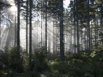 Iniciatívu My sme les podporili desiatky vedcov a ekologických odborníkov