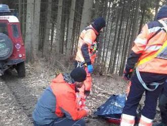 Záchranárom sa nepodarilo oživiť muža, ktorého zranil padajúci strom